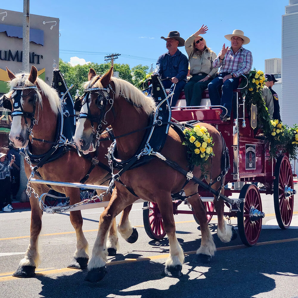 US Forest Service wagon pulled by two Belgian draft horses in Mule Days Parade in Bishop. A unique Eastern Sierra Experience.