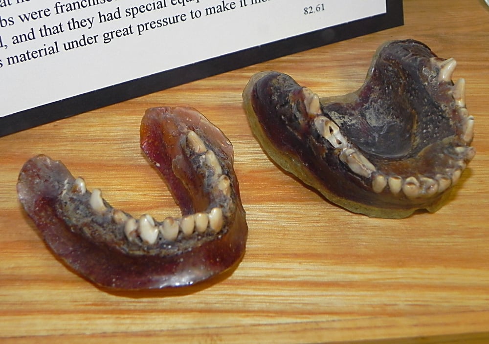 Coyote Teeth Dentures at the Eastern California Museum.