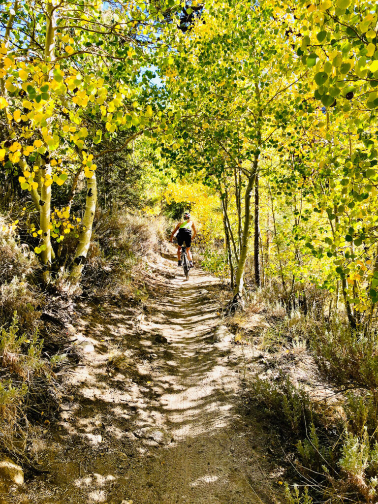 Cycling down Lower Rock Creek trail in Fall, near Bishop, CA