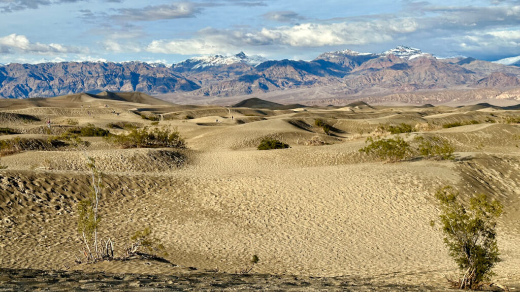 Normally dry Mesquite Dunes remained wet for many days after a large winter storm swept across Death Valley in February 2023