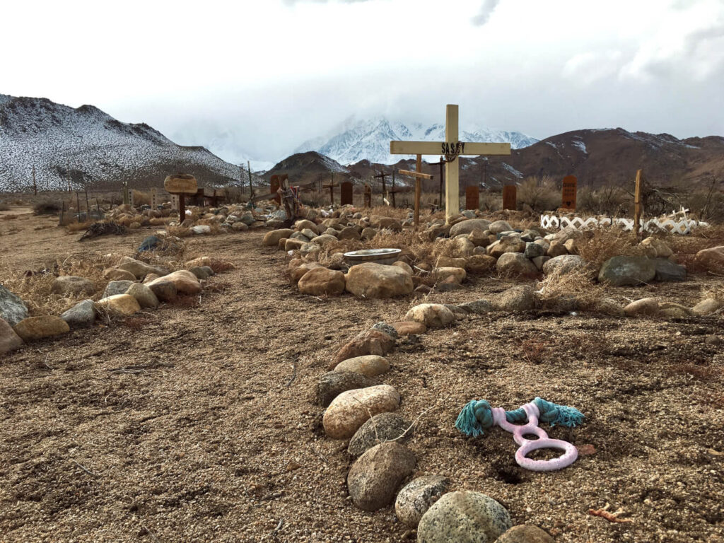 A wild, wonderful place where hundreds of beloved pets are buried.