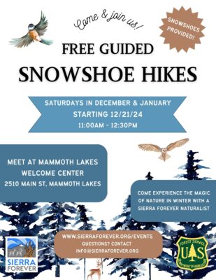 Free Guided Snowshoe Hikes poster