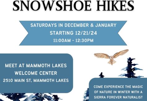 Free Guided Snowshoe Hikes poster