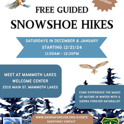 Free Guided Snowshoe Hikes poster