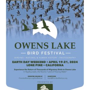 Owens Lake Bird Festival 2025 poster