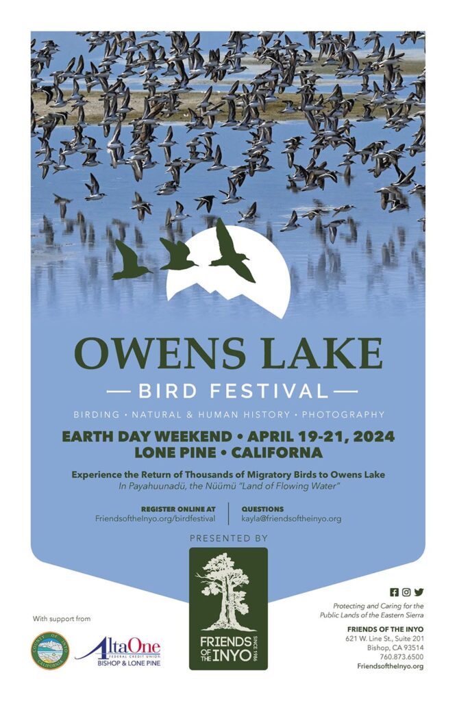 Owens Lake Bird Festival 2025 poster